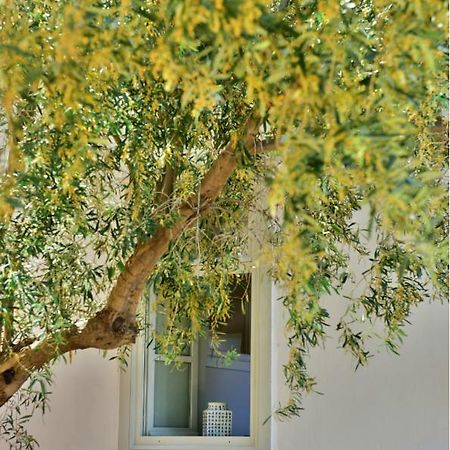 Douskos Beach House Appartement Hydra  Buitenkant foto